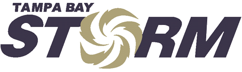 Tampa Bay Storm 1997-2011 Primary Logo iron on transfers for T-shirts